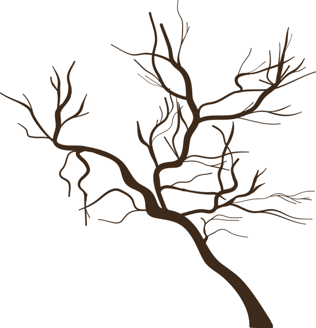 Sajak-sajak Anto Narasoma