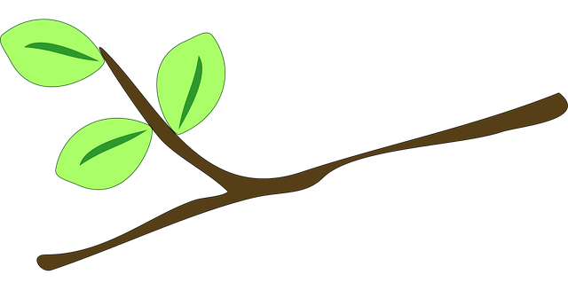 Daun-daun tumbuh di ranting pohon. | Clker-Free-Vector-Images/Pixabay