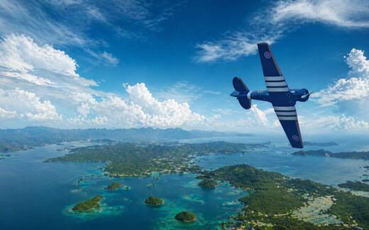 Overflight Access: Ketika Langit Jadi Jalan Tol, dan Kita Cuma Penjaga Portal