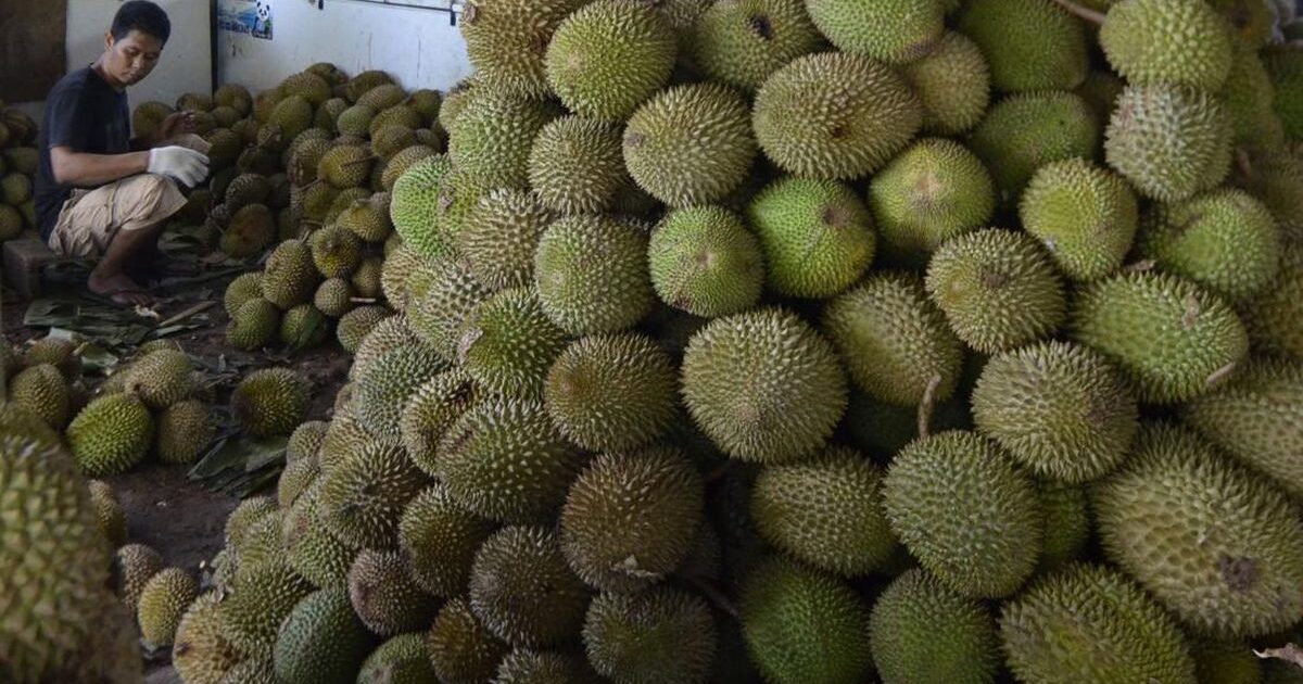 Kuantitas Membunuh Kita