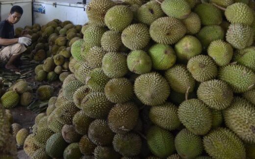 Kuantitas Membunuh Kita